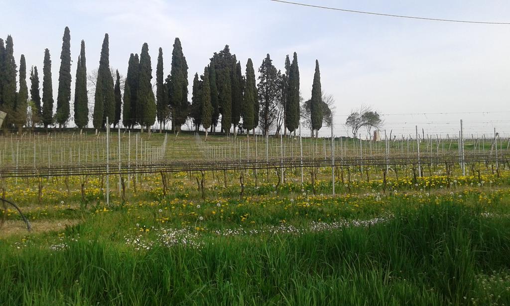Casa Margherita Lonato del Garda Exterior foto